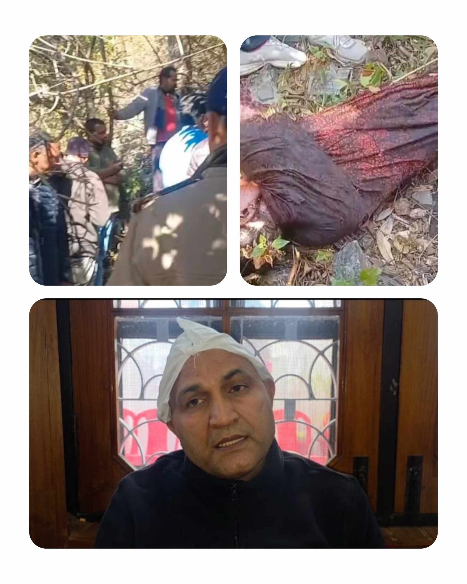 घास काटने गई महिला पर जंगली जानवर का हमला, मौत; विधायक राम सिंह कैड़ा ने परिजनों को बंधाया ढांढस