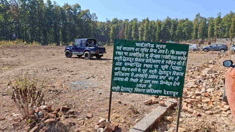 धौलास भूमि प्रकरण में बड़ा एक्शन: सीएम के निर्देश पर संयुक्त टीम की पैमाइश, जमींदारी एक्ट में होगी सख्त कार्रवाई