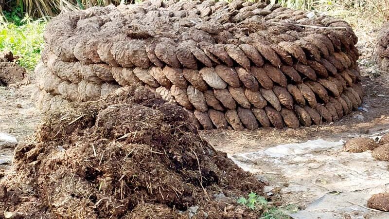 मध्य पूर्व में युद्ध और भारत की ऊर्जा सुरक्षा