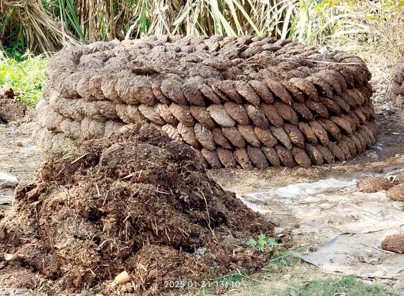 मध्य पूर्व में युद्ध और भारत की ऊर्जा सुरक्षा