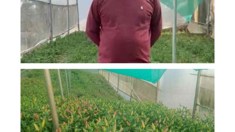 सरकारी योजना से बदली कमलेश की किस्मत, बंजर जमीन पर खड़ी की फूलों की सफल खेती