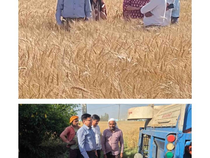 डिजिटल क्रॉप सर्वे कार्य का अपर जिलाधिकारी श्री नेगी ने किया निरीक्षण