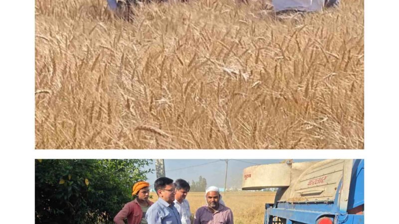 डिजिटल क्रॉप सर्वे कार्य का अपर जिलाधिकारी श्री नेगी ने किया निरीक्षण