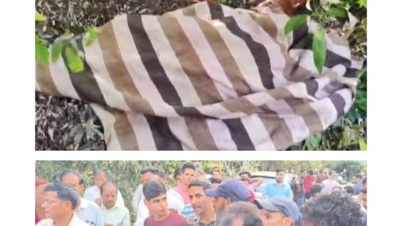 भीमताल के ज्योली गांव में गुलदार का आतंक: महिला को बनाया शिकार, ग्रामीणों में दहशत और आक्रोश