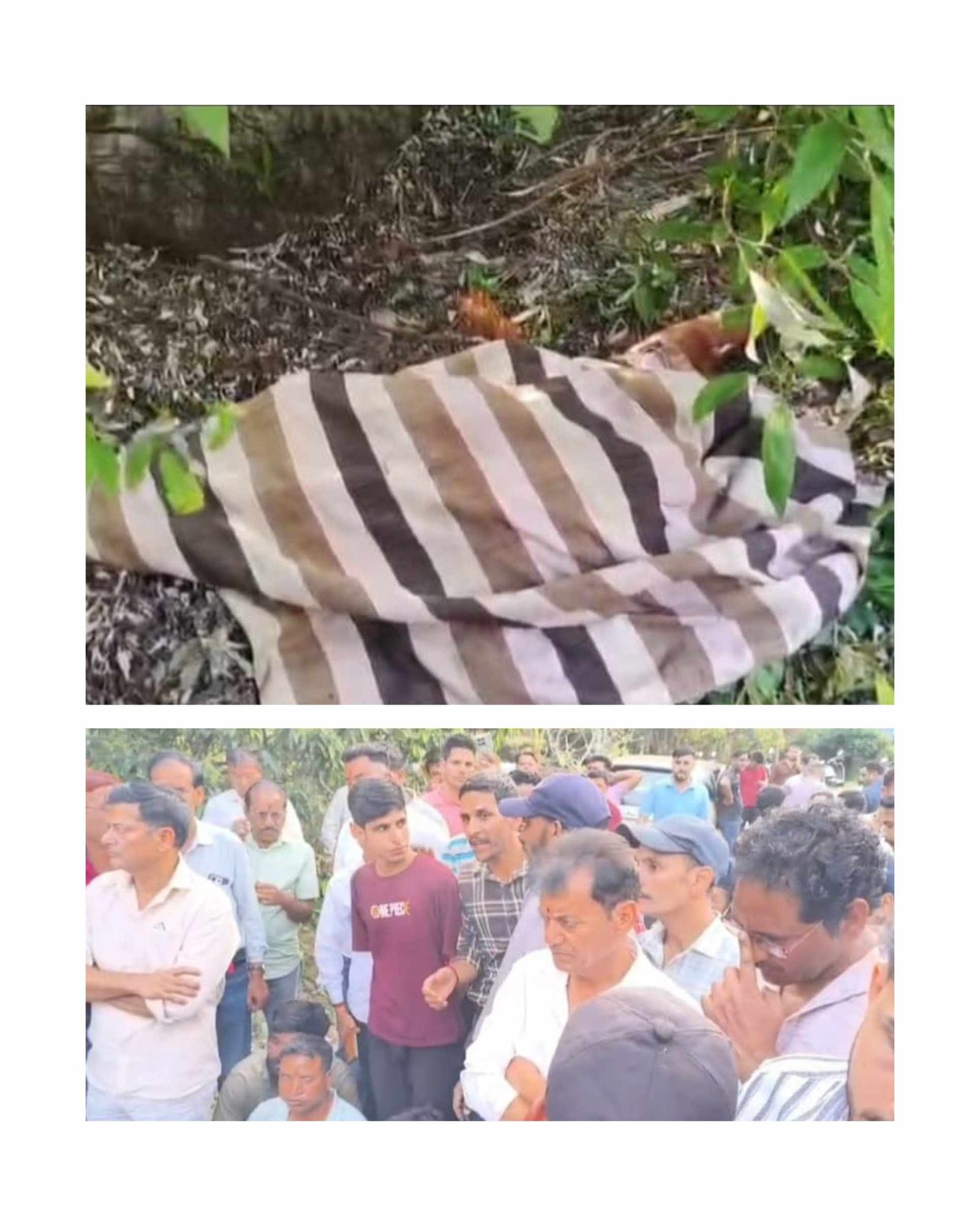 भीमताल के ज्योली गांव में गुलदार का आतंक: महिला को बनाया शिकार, ग्रामीणों में दहशत और आक्रोश