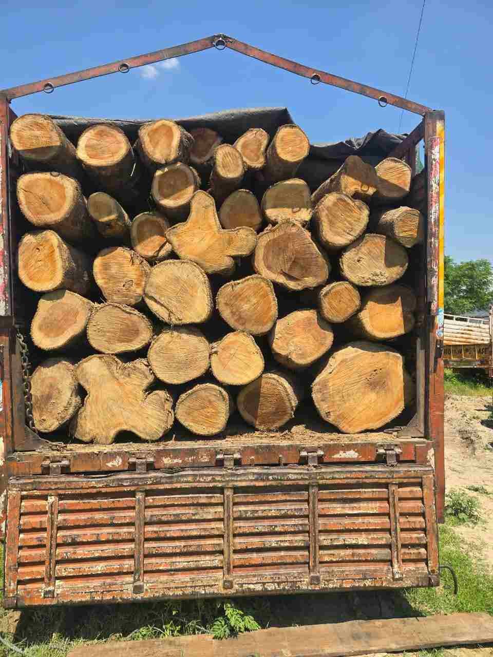 हरिद्वार में अवैध लकड़ी तस्करी पर पुलिस का प्रहार, सागौन की लकड़ी के साथ दो आरोपी गिरफ्तार