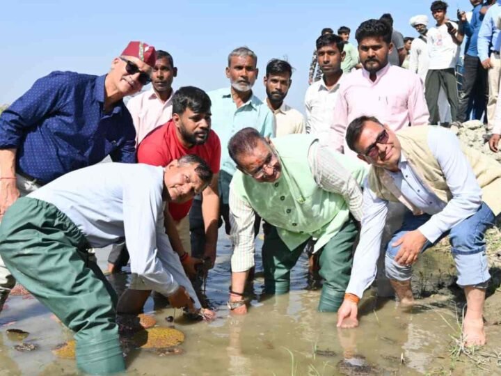 हरिद्वार में मखाना खेती की शुरुआत: कृषि मंत्री गणेश जोशी ने किया रोपण, किसानों को मिलेगा नया विकल्प