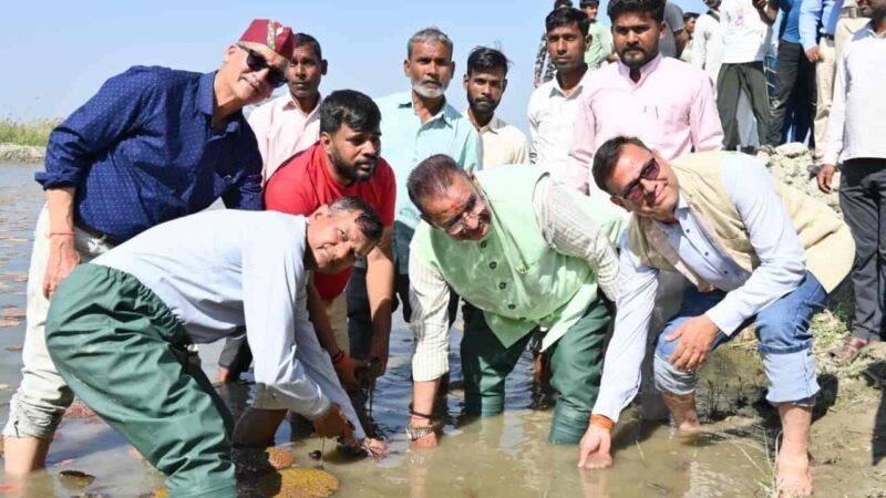 हरिद्वार में मखाना खेती की शुरुआत: कृषि मंत्री गणेश जोशी ने किया रोपण, किसानों को मिलेगा नया विकल्प