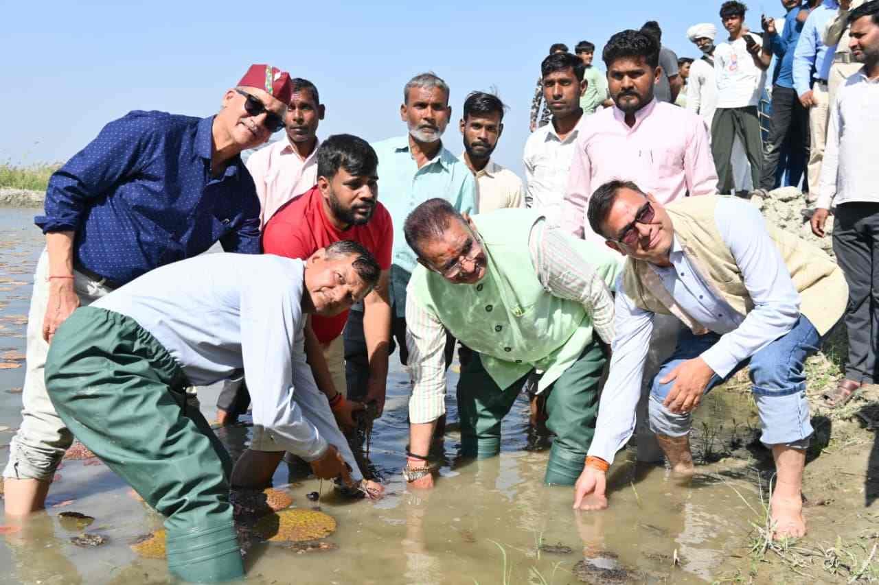 हरिद्वार में मखाना खेती की शुरुआत: कृषि मंत्री गणेश जोशी ने किया रोपण, किसानों को मिलेगा नया विकल्प