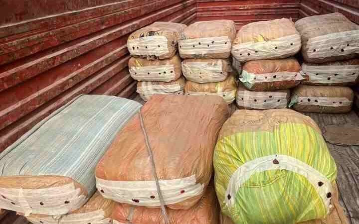 ऊधमसिंहनगर में रिकॉर्ड कार्रवाई: 2.80 करोड़ का गांजा बरामद, 3 तस्कर गिरफ्तार