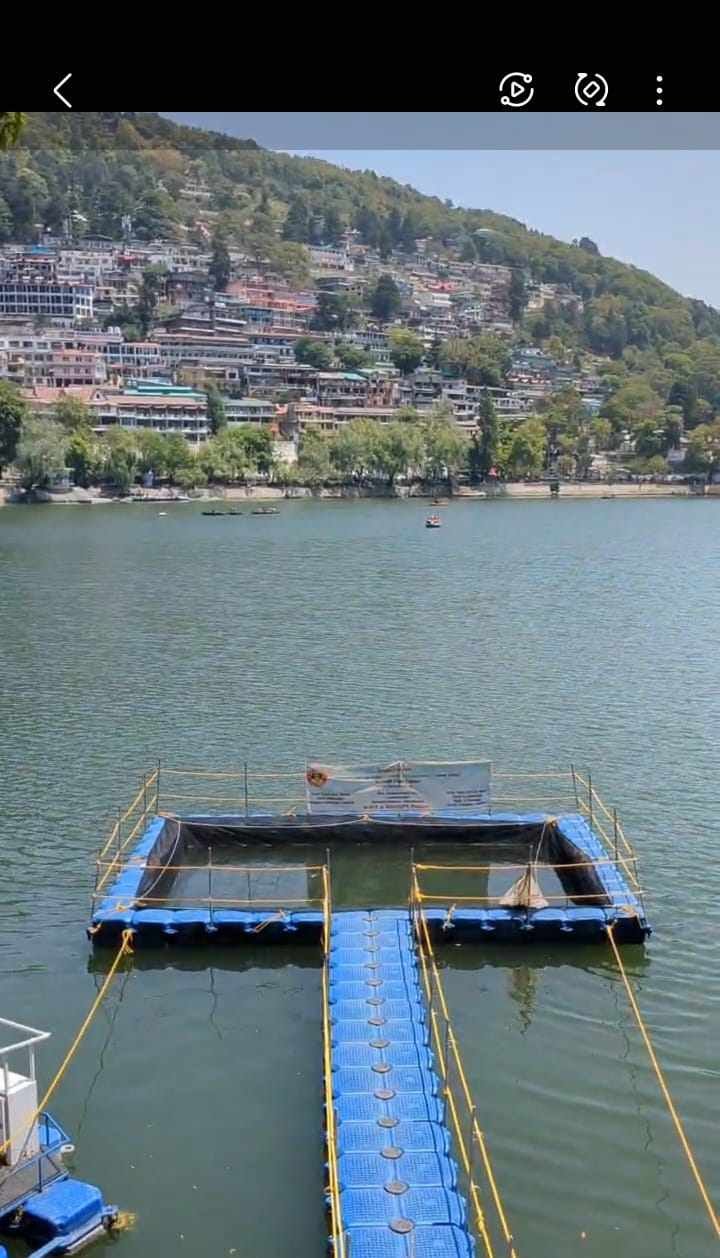 नैनी झील में 35 साल बाद स्नो ट्राउट की वापसी, जलीय पारिस्थितिकी को मिलेगा लाभ