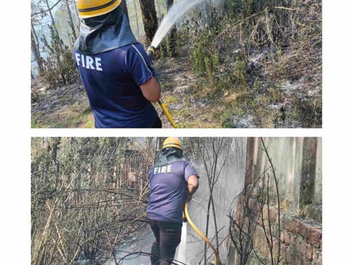 घिंगारीखाल के जंगल में लगी आग पर फायर सर्विस का त्वरित एक्शन, आर्मी जवानों के सहयोग से पाया काबू