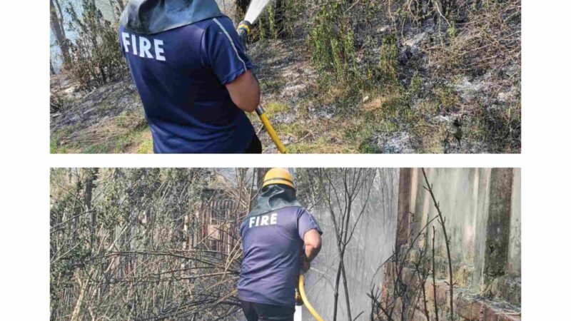 घिंगारीखाल के जंगल में लगी आग पर फायर सर्विस का त्वरित एक्शन, आर्मी जवानों के सहयोग से पाया काबू