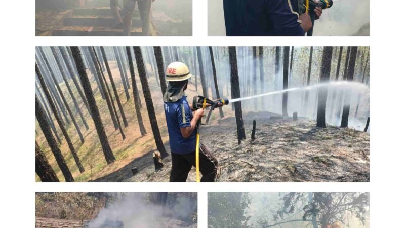 अल्मोड़ा और रानीखेत फायर सर्विस की तत्परता से जंगल की आग पर काबू, वन क्षेत्र और रिहायशी इलाकों को बड़े नुकसान से बचाया