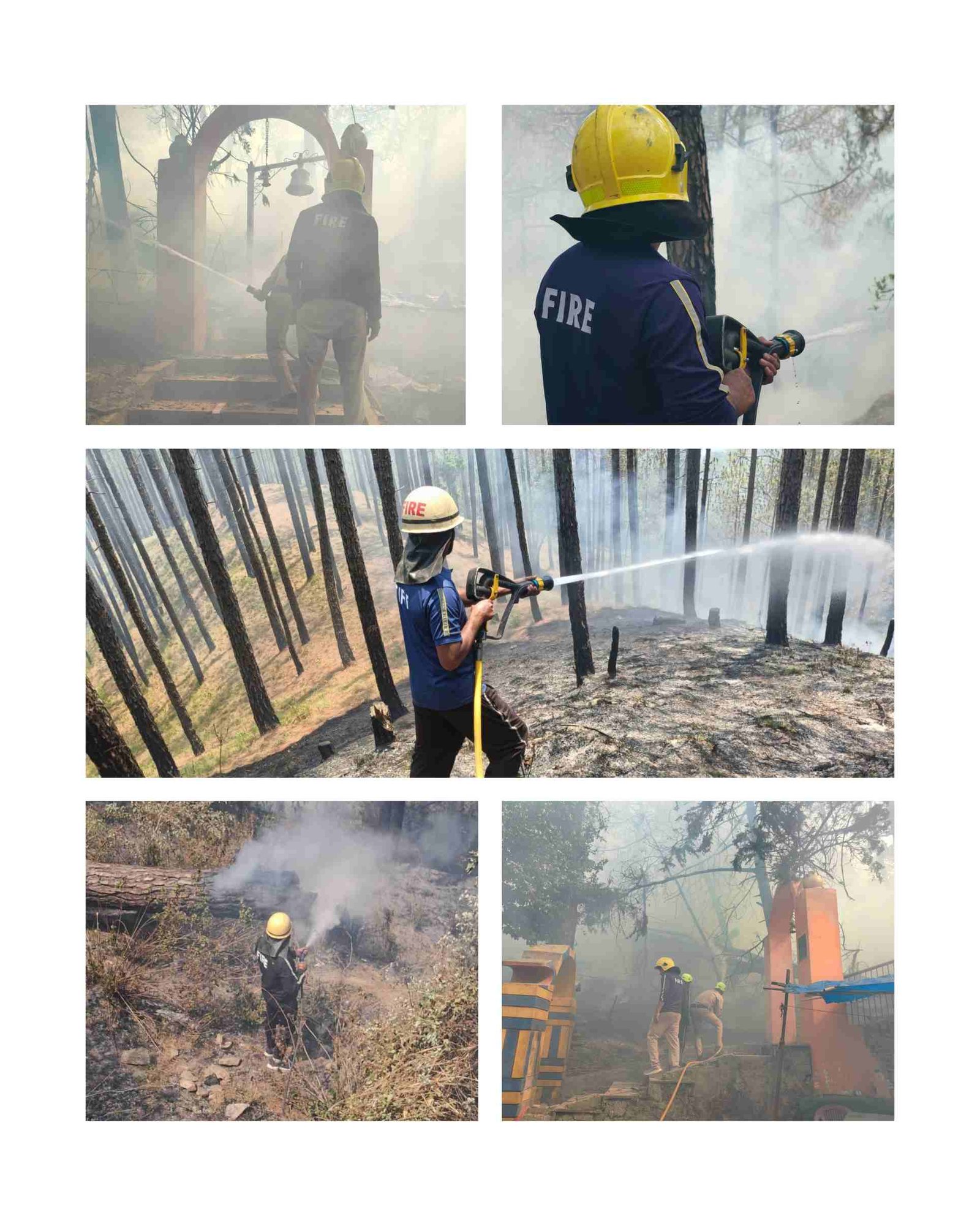 अल्मोड़ा और रानीखेत फायर सर्विस की तत्परता से जंगल की आग पर काबू, वन क्षेत्र और रिहायशी इलाकों को बड़े नुकसान से बचाया