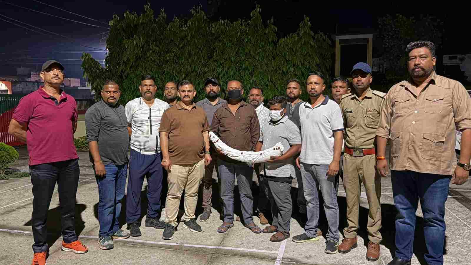 एसटीएफ की बड़ी कार्रवाई: 1.5 करोड़ कीमत का हाथी दांत बरामद, 2 वन्यजीव तस्कर गिरफ्तार