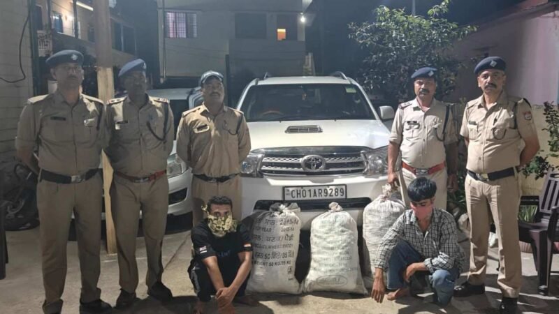 अल्मोड़ा पुलिस का नशे पर बड़ा प्रहार, फॉर्च्यूनर कार से 54 किलो से अधिक गांजा बरामद