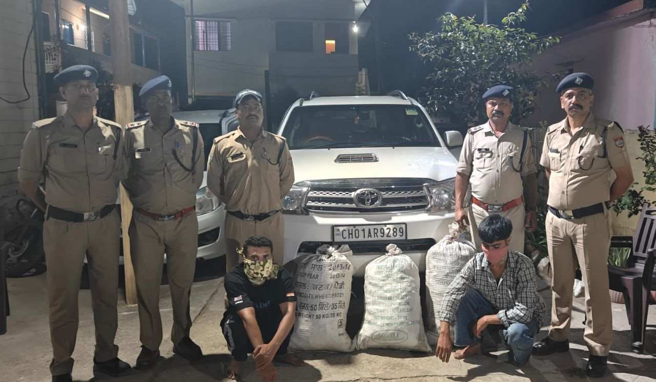 अल्मोड़ा पुलिस का नशे पर बड़ा प्रहार, फॉर्च्यूनर कार से 54 किलो से अधिक गांजा बरामद