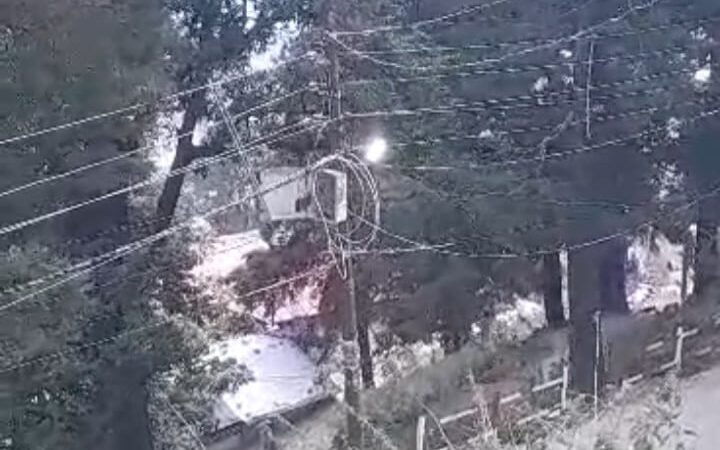 आये दिन दोपहर स्ट्रीट लाइट विधुत पोलो में जली रहने से तरह तरह की चर्चा का बाजार गर्म हो रहा है