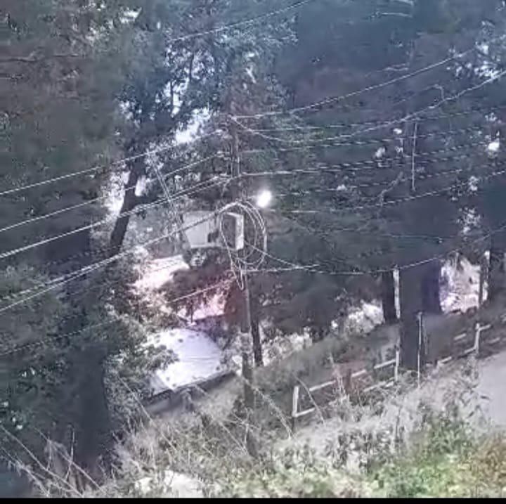 आये दिन दोपहर स्ट्रीट लाइट विधुत पोलो में जली रहने से तरह तरह की चर्चा का बाजार गर्म हो रहा है