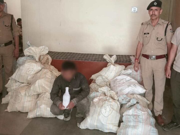 केदारनाथ यात्रा में शराब तस्करी का बड़ा भंडाफोड़, खच्चर के चारे में छिपाकर ले जाई जा रही 494 बोतल अवैध शराब बरामद
