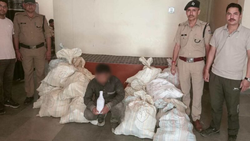 केदारनाथ यात्रा में शराब तस्करी का बड़ा भंडाफोड़, खच्चर के चारे में छिपाकर ले जाई जा रही 494 बोतल अवैध शराब बरामद