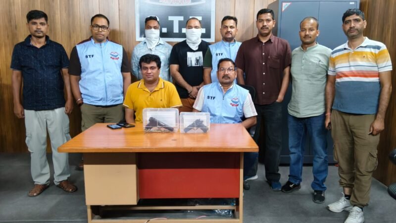फर्जी शस्त्र लाइसेंस नेटवर्क पर एसटीएफ का बड़ा प्रहार, दो और आरोपी गिरफ्तार, 2 पिस्टल व 31 कारतूस बरामद