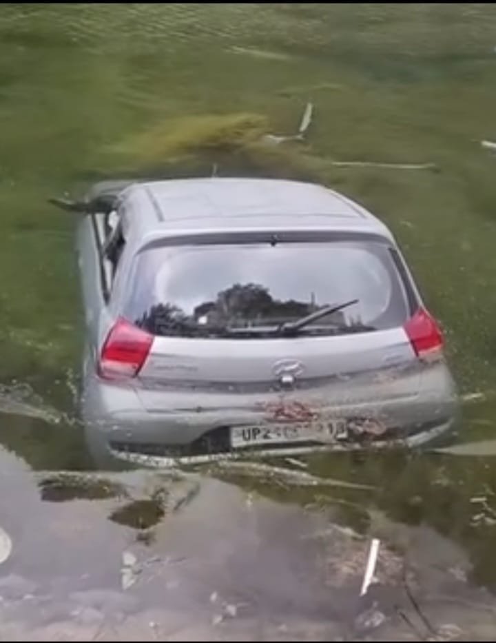 सरियाताल झील में गिरी पर्यटकों की कार, स्थानीय लोगों और पुलिस की तत्परता से चारों यात्री सुरक्षित निकाले गए