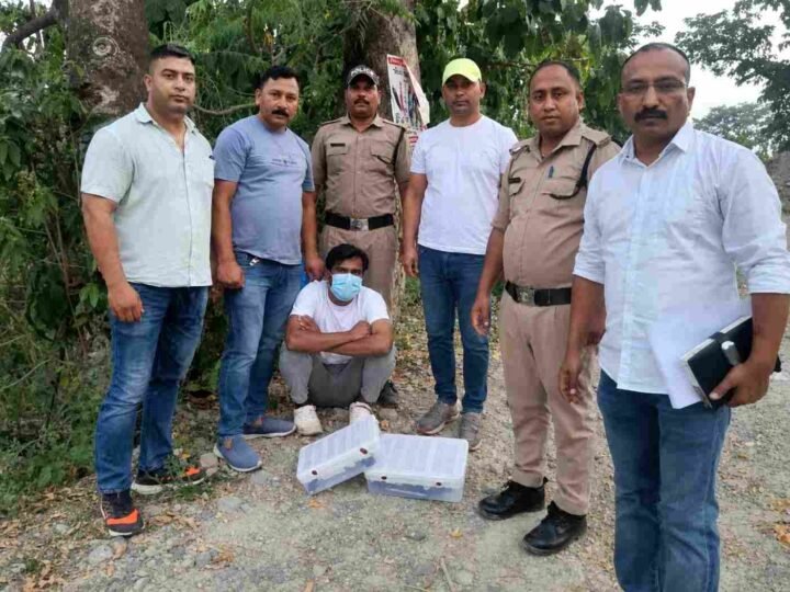 SOG और चोरगलिया पुलिस ने हथियारों का जखीरा पकड़ा, अंतरजनपदीय तस्कर गिरफ्तार