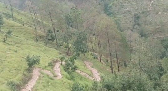 25 साल बाद भी सड़क से वंचित तिमूरी गांव, बदहाल संपर्क मार्ग से पलायन और परेशानी बढ़ी