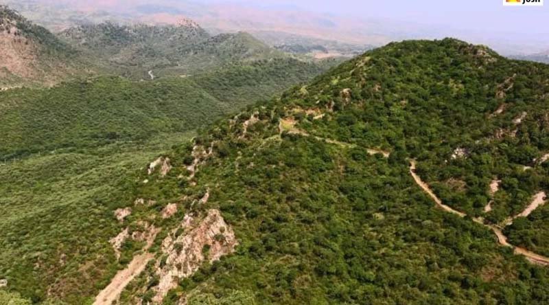 अरावली संरक्षण पर जनता से सुझाव मांगे, सुप्रीम कोर्ट की उच्चाधिकार समिति ने जारी किया आमंत्रण