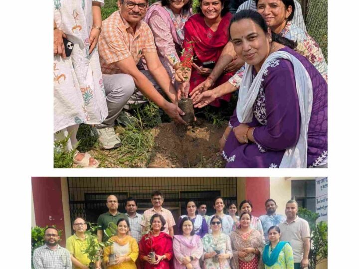 हरेला पर राजकीय महाविद्यालय थत्यूड़ में पौधारोपण, पर्यावरण संरक्षण का लिया संकल्प