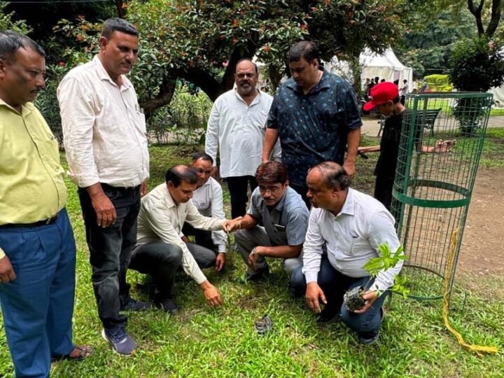 कारगिल विजय दिवस पर नव पर्वतीय विकास संस्था का वृक्षारोपण, वीर शहीदों को दी भावभीनी श्रद्धांजलि