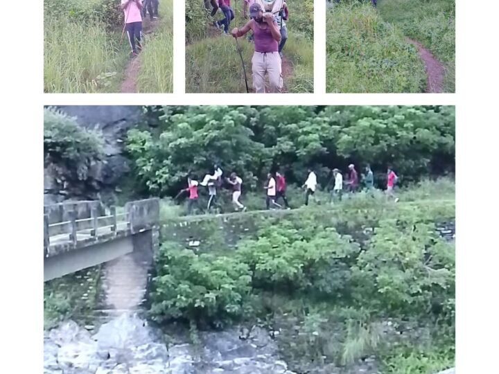 दस साल से कागजों में सिमटी सड़क, डोली के सहारे अस्पताल पहुंचा ग्रामीण