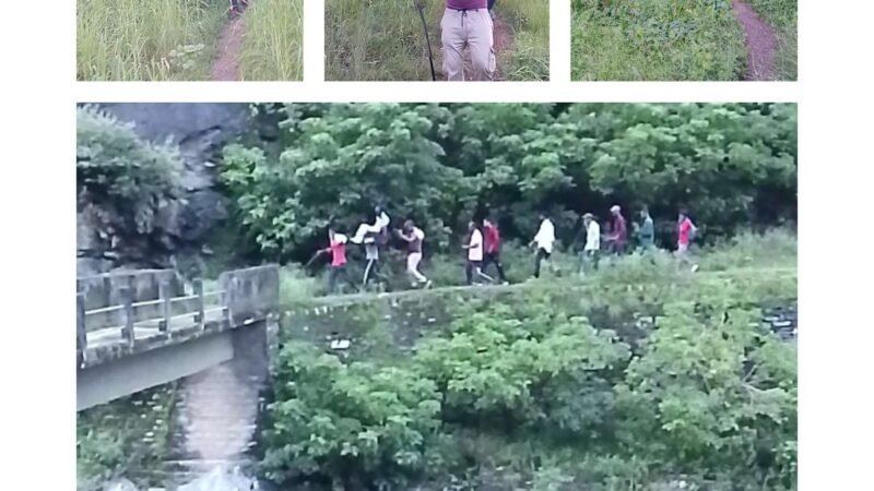 दस साल से कागजों में सिमटी सड़क, डोली के सहारे अस्पताल पहुंचा ग्रामीण