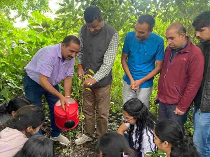 पौधारोपण सबसे बड़ा धर्म, देवदार का पौधा दृढ़ निश्चय का प्रतीक: प्रो. ललित तिवारी