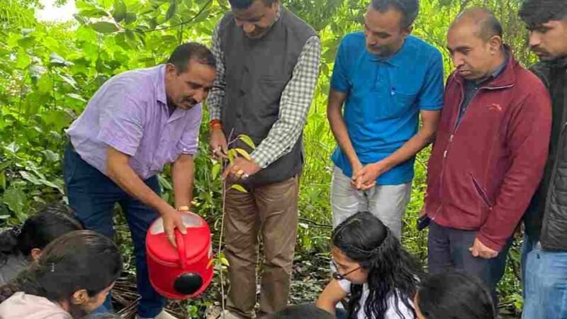 पौधारोपण सबसे बड़ा धर्म, देवदार का पौधा दृढ़ निश्चय का प्रतीक: प्रो. ललित तिवारी