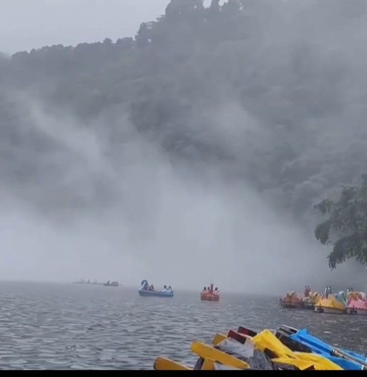 रिमझिम बारिश ने किया हलकान, चारों ओर छाया कोहरा