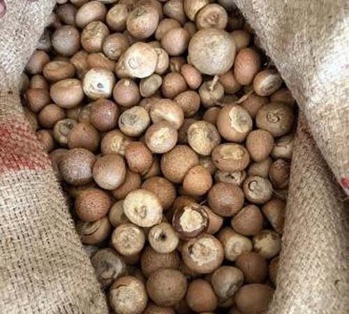 सुपारी आयात में ₹2,500 करोड़ की सीमा शुल्क धोखाधड़ी का खुलासा, DRI ने 9 आरोपियों को किया गिरफ्तार