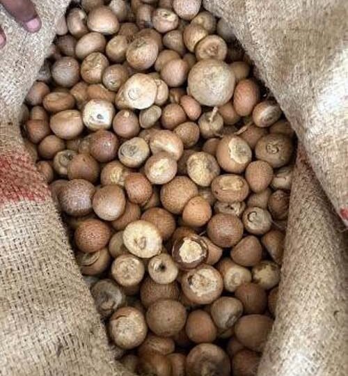 सुपारी आयात में ₹2,500 करोड़ की सीमा शुल्क धोखाधड़ी का खुलासा, DRI ने 9 आरोपियों को किया गिरफ्तार