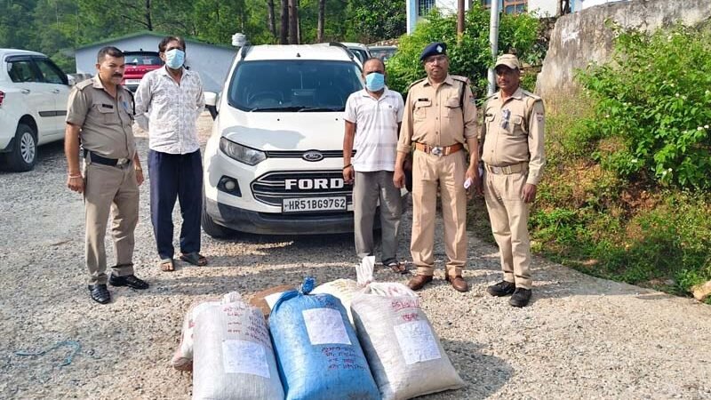 43.570 किलो डोडा पोस्त के साथ दो नशा तस्कर गिरफ्तार, तस्करी में प्रयुक्त ईको स्पोर्ट्स कार जब्त