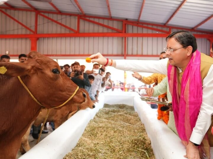 हल्दीघेरा में ₹7.23 करोड़ की गौशाला का लोकार्पण, सीएम धामी ने 15 विकास योजनाओं का किया शिलान्यास