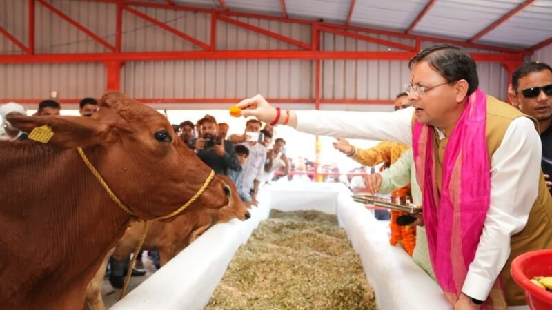 हल्दीघेरा में ₹7.23 करोड़ की गौशाला का लोकार्पण, सीएम धामी ने 15 विकास योजनाओं का किया शिलान्यास