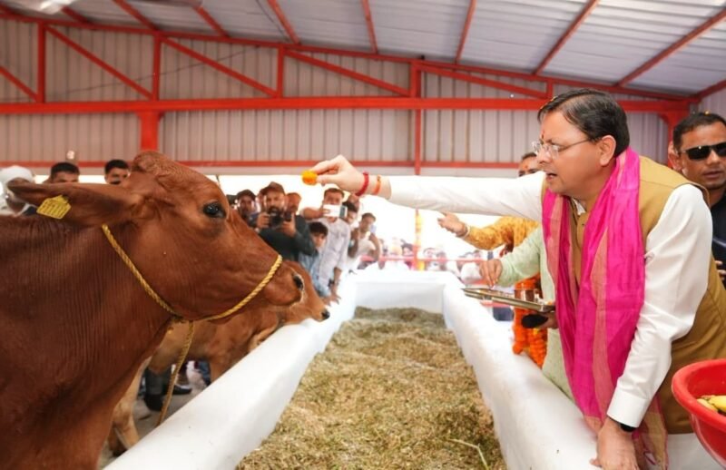 हल्दीघेरा में ₹7.23 करोड़ की गौशाला का लोकार्पण, सीएम धामी ने 15 विकास योजनाओं का किया शिलान्यास