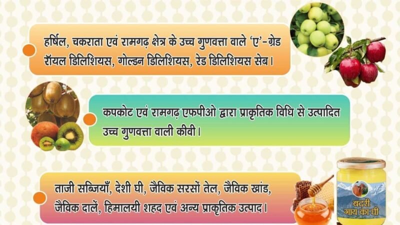 08-09 अक्टूबर को देहरादून में लगेगा ‘सेब महोत्सव 3.0’, पहाड़ के ए-ग्रेड सेब और कीवी होंगे आकर्षण का केंद्र