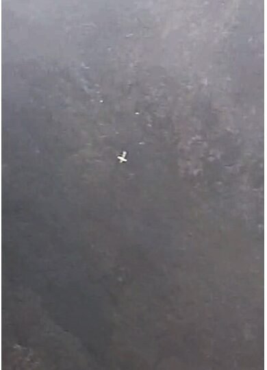 जोशीमठ के चाईं गांव के पास हेलीकॉप्टर दुर्घटनाग्रस्त, पायलट समेत छह लोग सवार; सभी के हताहत होने की आशंका