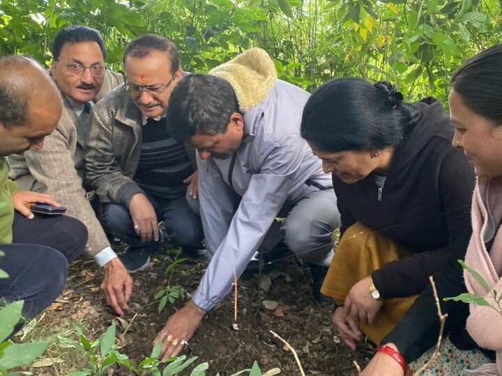 जीवन का श्रेष्ठ कार्य पौधे लगाना है: प्रोफेसर वाई एस रावत